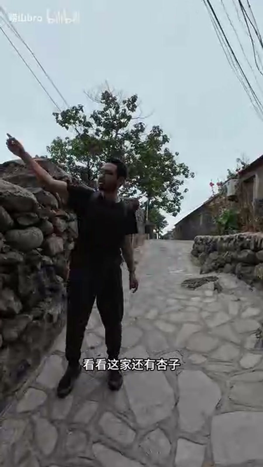 美丽乡村:渔村石墙小路与彩色房子